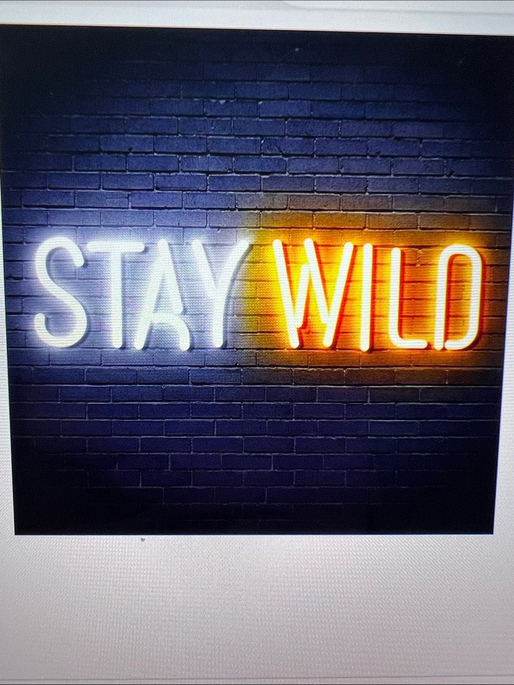 STAY WILD Neon Sign